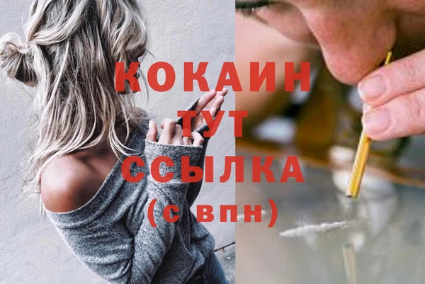 скорость Алзамай